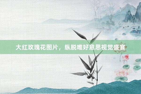 大红玫瑰花图片，纵脱唯好意思视觉盛宴