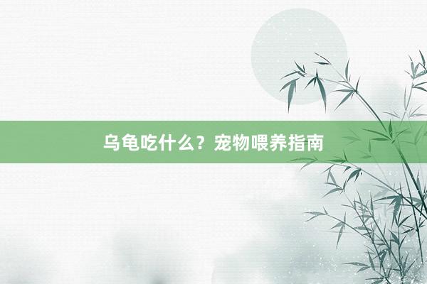 乌龟吃什么？宠物喂养指南